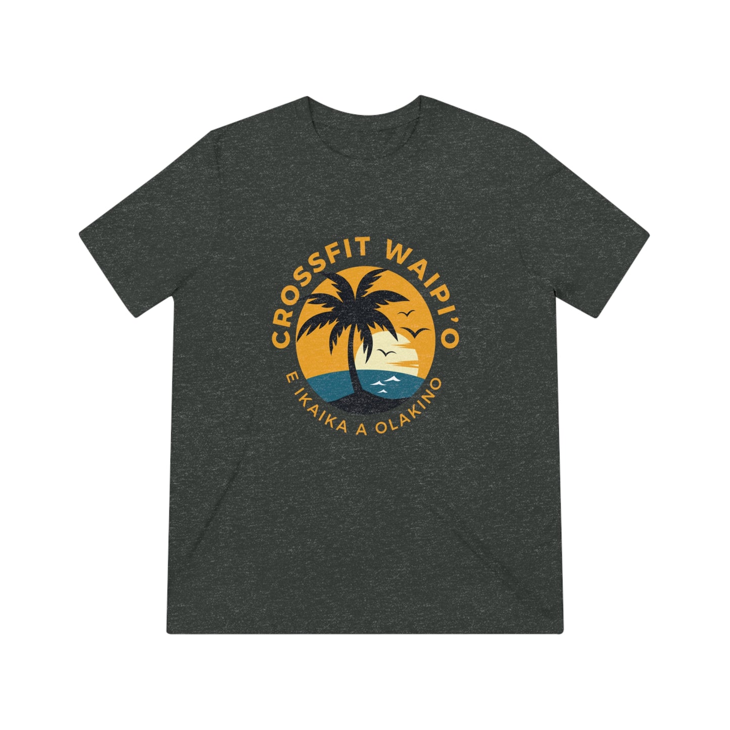 Summer Palm CFW Unisex Triblend Tee