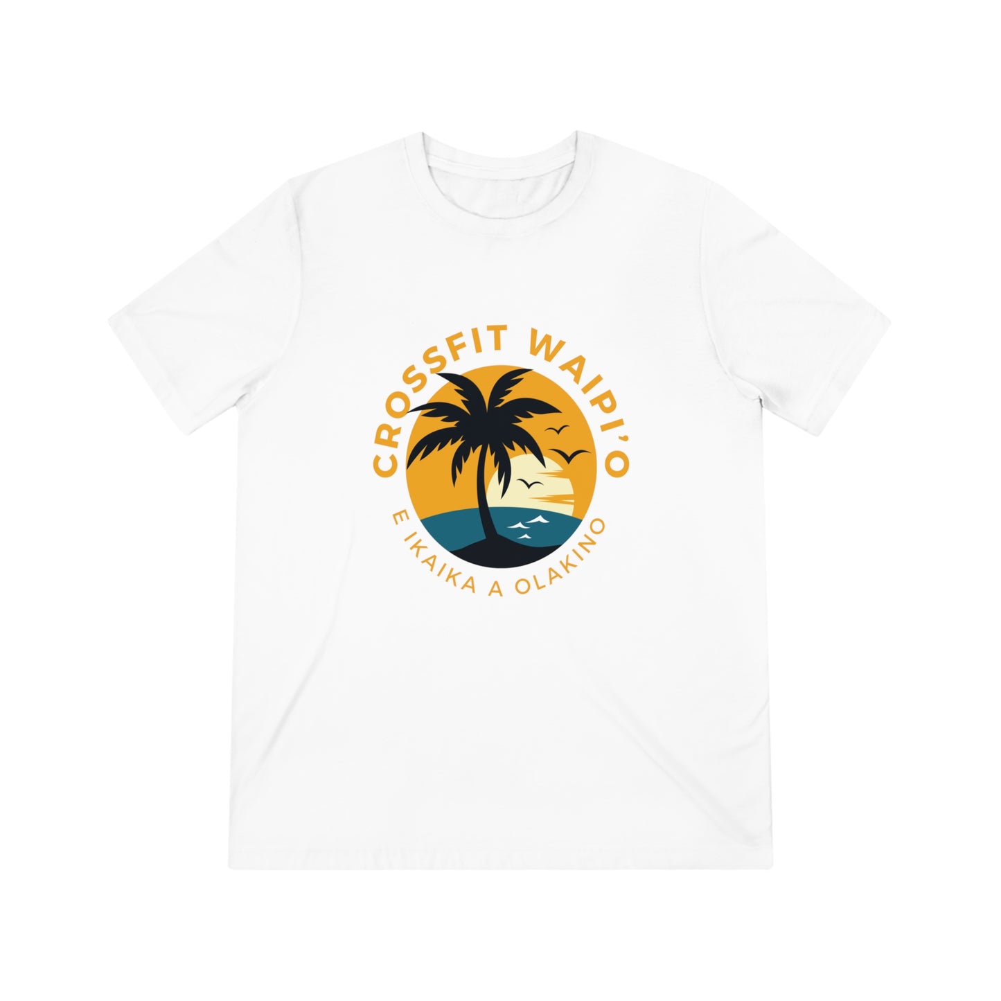 Summer Palm CFW Unisex Triblend Tee