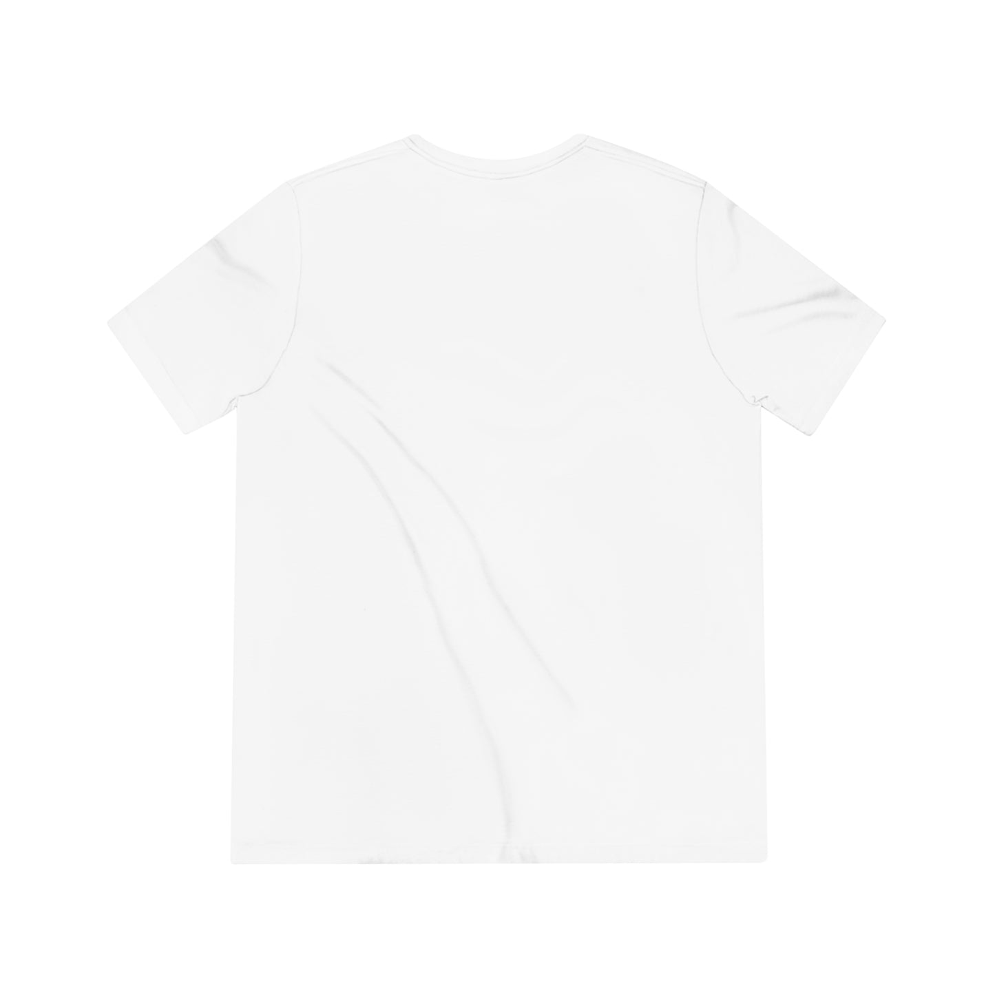 Summer Palm CFW Unisex Triblend Tee