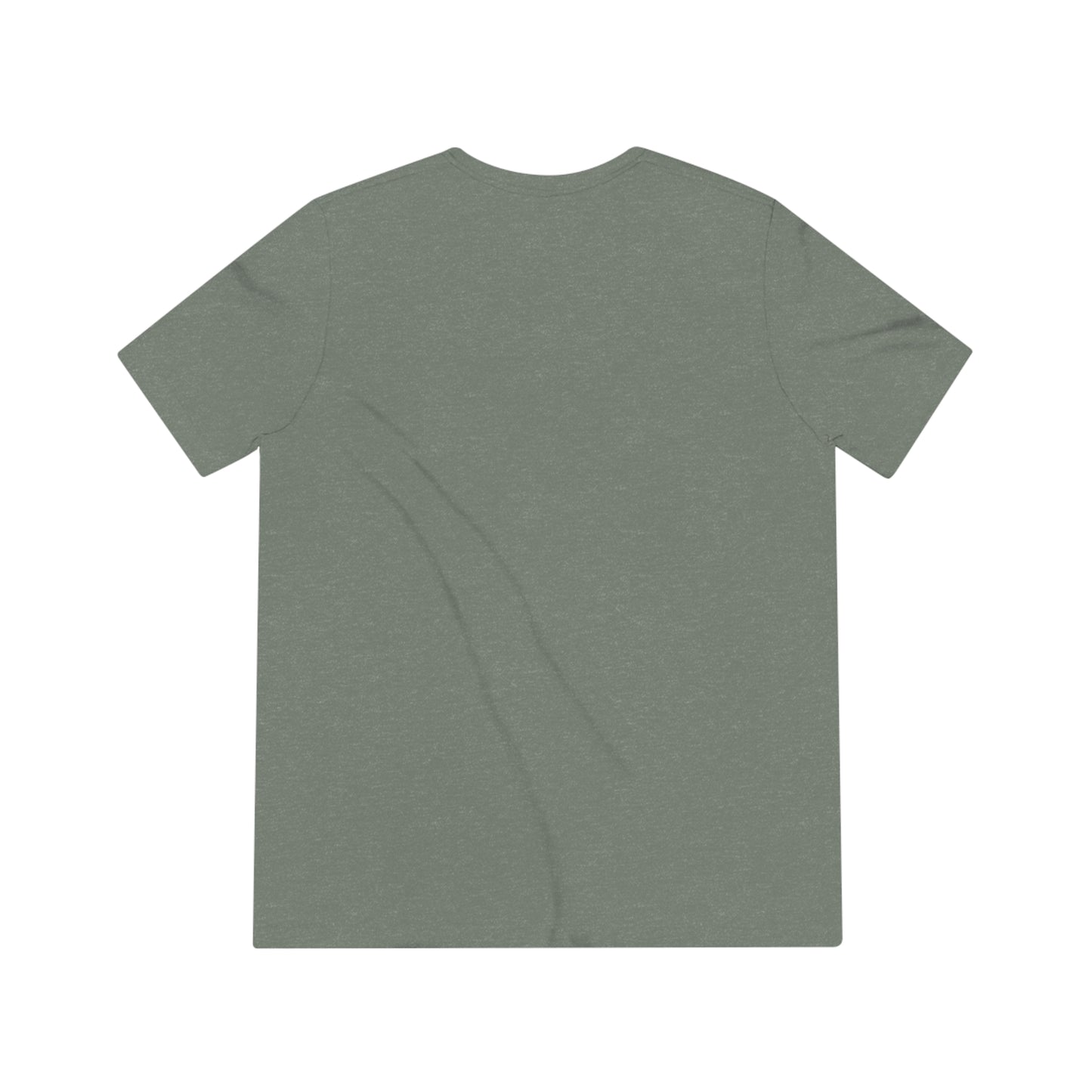 Summer Palm CFW Unisex Triblend Tee